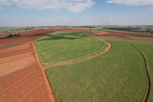 Imagem Fazenda à Venda, 64 m² em Zona Rural - Bariri Imagem Fazenda à Venda, 64 m² em Zona Rural - Bariri