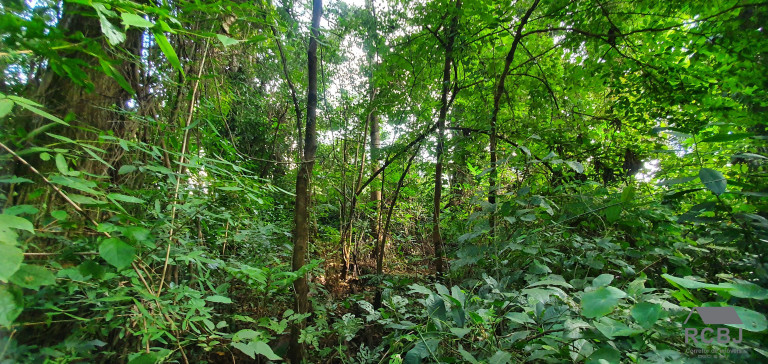 Imagem Terreno à Venda, 1.000 m² em Retiro Do Chalé - Brumadinho