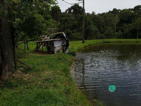 Imagem Imóvel com 3 Quartos à Venda, 350.000 m² em Zona Rural - Bom Retiro