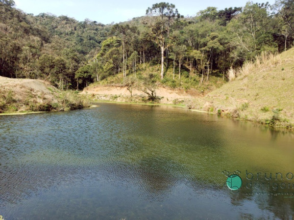 Imagem Imóvel com 1 Quarto à Venda, 72.000 m² em Interior - Bom Retiro