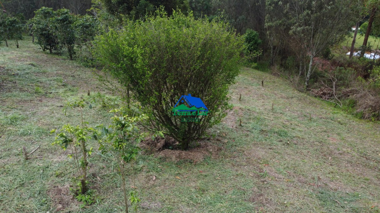 Terreno à Venda, 55.000 m² em Zona Rural - Aiuruoca