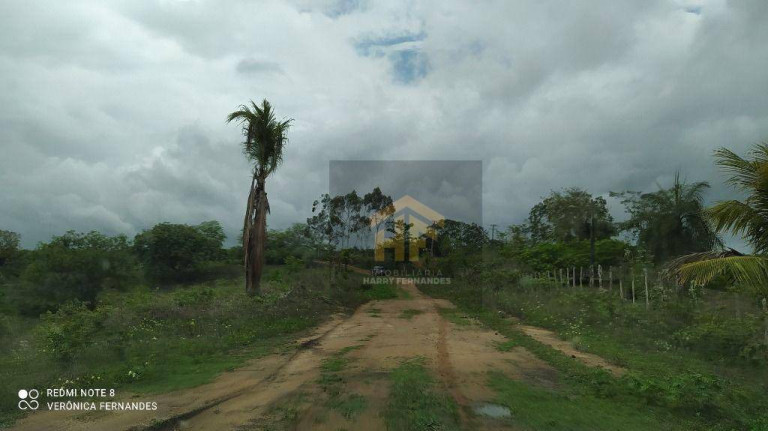 Imagem Fazenda à Venda, 160.000 m² em Rural - Paudalho Imagem Fazenda à Venda, 160.000 m² em Rural - Paudalho