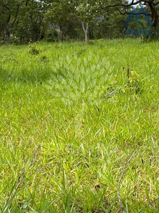 Imagem Fazenda à Venda, 20.000 m² em São José De Almeida - Jaboticatubas Imagem Fazenda à Venda, 20.000 m² em São José De Almeida - Jaboticatubas