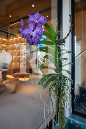Imagem Imóvel com 5 Quartos à Venda, 854 m² em Riviera - Bertioga