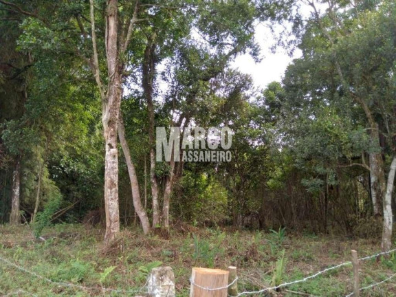 Imagem Terreno à Venda, 35 m² em Volta Redonda - Araquari Imagem Terreno à Venda, 35 m² em Volta Redonda - Araquari