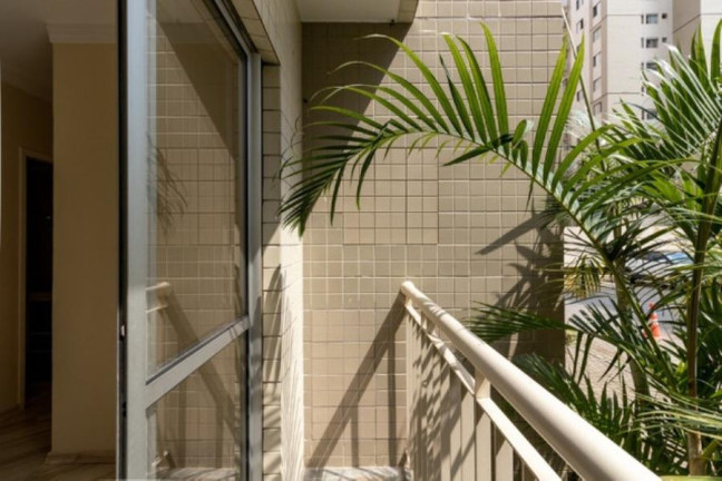 Imagem Apartamento com 3 Quartos à Venda, 61 m² em Cambuci - São Paulo Imagem Apartamento com 3 Quartos à Venda, 61 m² em Cambuci - São Paulo
