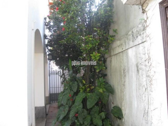 Imagem Casa com 4 Quartos à Venda, 500 m² em Chácara Monte Alegre - São Paulo