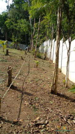 Imagem Terreno em Condomínio à Venda, 1.000 m² em Jardim Colibri - Cotia Imagem Terreno em Condomínio à Venda, 1.000 m² em Jardim Colibri - Cotia