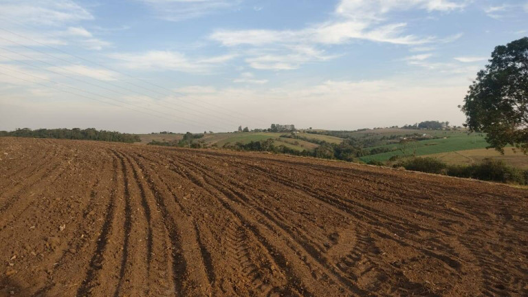 Imagem Fazenda à Venda, 314 m² em Morro Alto - Itapetininga Imagem Fazenda à Venda, 314 m² em Morro Alto - Itapetininga