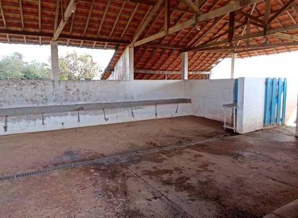 Imagem Imóvel com 3 Quartos à Venda, 557.253 m² em Centro - Itapetininga Imagem Imóvel com 3 Quartos à Venda, 557.253 m² em Centro - Itapetininga