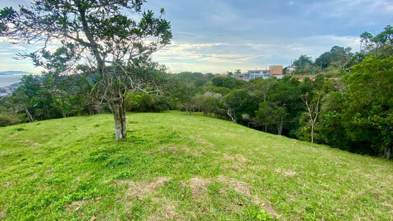 Imagem Terreno à Venda, 4.908 m² em Praia Da Silveira - Garopaba