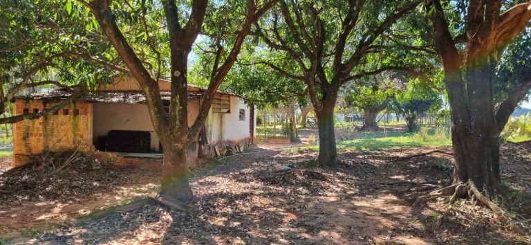Imagem Fazenda à Venda, em Centro - Getulina Imagem Fazenda à Venda, em Centro - Getulina