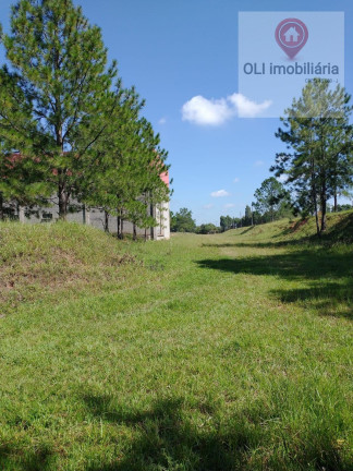Imagem Imóvel à Venda, 165.700 m² em Aparecida - Sorocaba