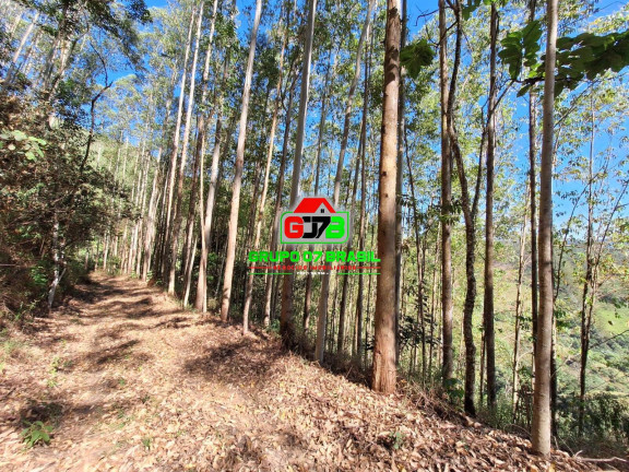 Imagem Chácara à Venda, 8 m² em São Francisco Xavier - São José Dos Campos Imagem Chácara à Venda, 8 m² em São Francisco Xavier - São José Dos Campos