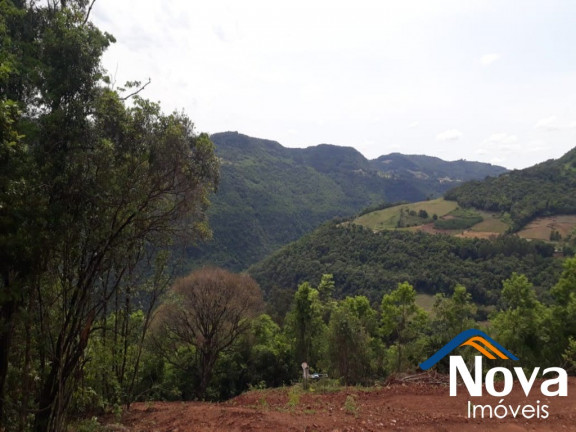 Imagem Imóvel à Venda, 31.701 m² em Linha Pirajá Baixa - Nova Petrópolis