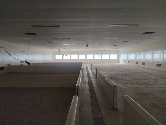 Imagem Chácara com 4 Quartos à Venda, 850 m² em Itarassú - Capela Do Alto