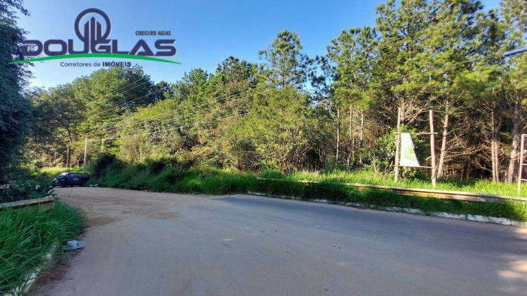 Terreno à Venda, 3.100 m² em São Tomé - Viamão