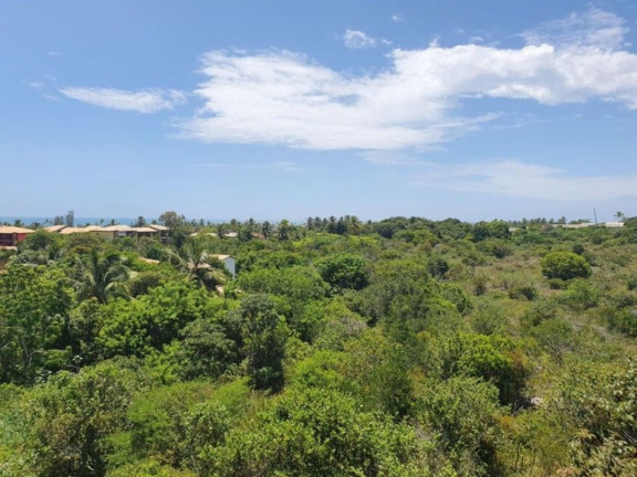 Imagem Casa com 3 Quartos à Venda, 130 m² em Praia Do Forte - Mata De São João Imagem Casa com 3 Quartos à Venda, 130 m² em Praia Do Forte - Mata De São João