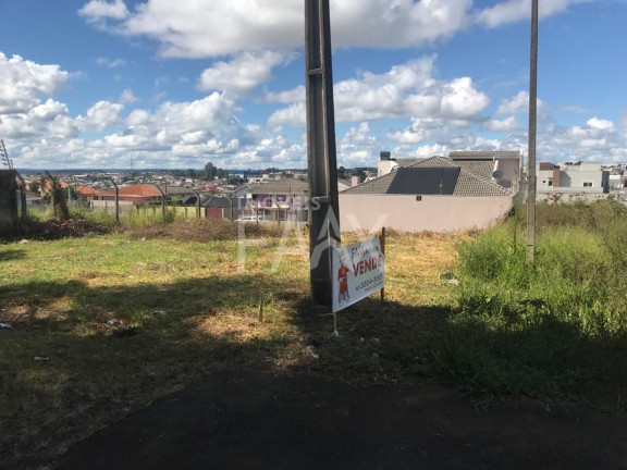 Imagem Terreno à Venda, 325 m² em Alto Da Xv - Guarapuava Imagem Terreno à Venda, 325 m² em Alto Da Xv - Guarapuava