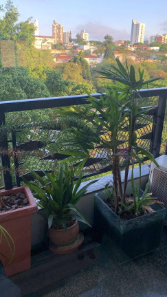 Imagem Apartamento com 4 Quartos à Venda, 240 m² em Jardim Da Saúde - São Paulo Imagem Apartamento com 4 Quartos à Venda, 240 m² em Jardim Da Saúde - São Paulo