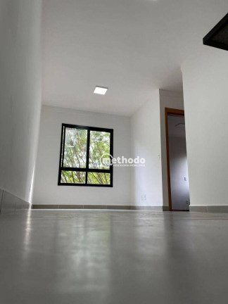 Imagem Apartamento com 2 Quartos à Venda, 55 m² em Jardim Proença - Campinas Imagem Apartamento com 2 Quartos à Venda, 55 m² em Jardim Proença - Campinas
