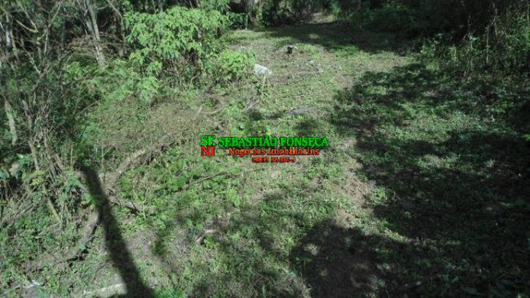 Imagem Chácara à Venda, 72.600 m² em São Francisco Xavier - São José Dos Campos