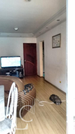 Imagem Apartamento com 2 Quartos à Venda, 58 m² em Campo Grande - São Paulo