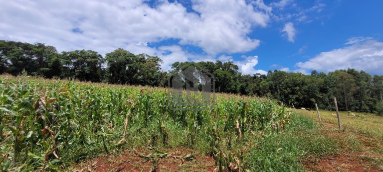 Imagem Imóvel à Venda, 2 m² em Presidente - Cascavel Imagem Imóvel à Venda, 2 m² em Presidente - Cascavel