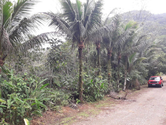Imagem Terreno à Venda, 1.100 m² em Verde Mar - Caraguatatuba Imagem Terreno à Venda, 1.100 m² em Verde Mar - Caraguatatuba