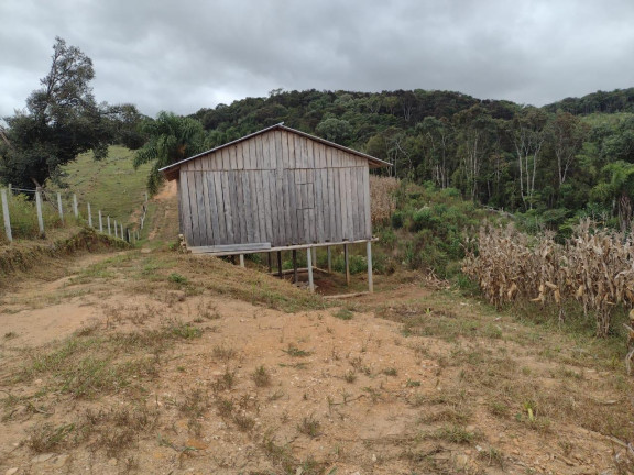 Imagem Imóvel à Venda, 33.000 m² em Itaqui De Cima - Campo Largo Imagem Imóvel à Venda, 33.000 m² em Itaqui De Cima - Campo Largo