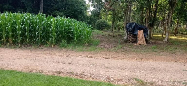 Imagem Chácara com 2 Quartos à Venda, 5.445 m² em Centro - Agudos Do Sul