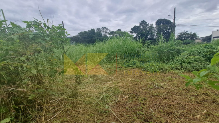 Imagem Imóvel à Venda, 693 m² em Garcia - Blumenau