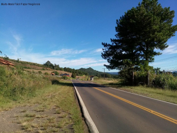 Imagem Terreno à Venda, 1 m² em Linha Araripe - Nova Petrópolis Imagem Terreno à Venda, 1 m² em Linha Araripe - Nova Petrópolis