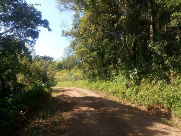 Imagem Terreno à Venda, 2 m² em Linha Temerária - Nova Petrópolis