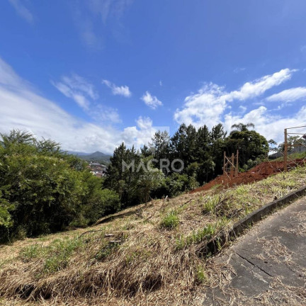 Imagem Terreno à Venda,  em Chico De Paulo - Jaraguá Do Sul