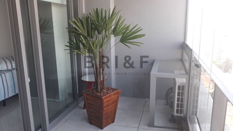 Imagem Apartamento com 1 Quarto para Alugar, 41 m² em Brooklin - São Paulo Imagem Apartamento com 1 Quarto para Alugar, 41 m² em Brooklin - São Paulo