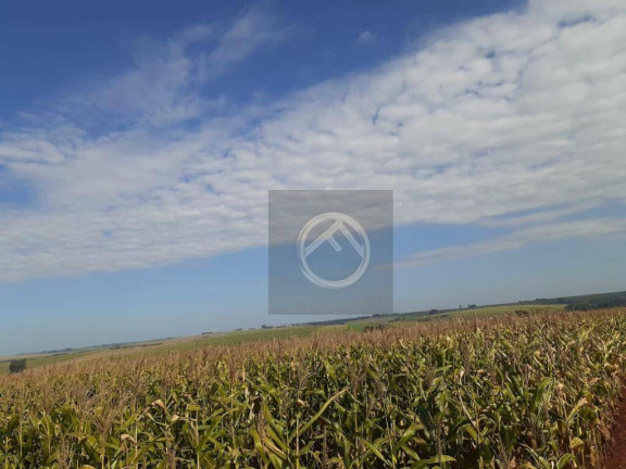 Imagem Fazenda à Venda, 10.962.600 m² em Centro - Francisco Alves Imagem Fazenda à Venda, 10.962.600 m² em Centro - Francisco Alves