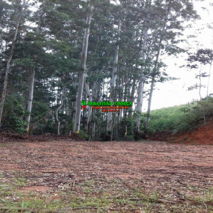 Imagem Chácara à Venda, 30.000 m² em Centro - Monteiro Lobato Imagem Chácara à Venda, 30.000 m² em Centro - Monteiro Lobato