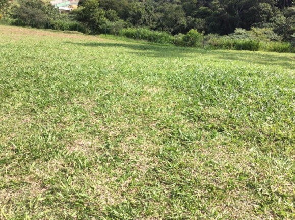 Imagem Terreno à Venda, 500 m² em Chácara São João - Carapicuíba Imagem Terreno à Venda, 500 m² em Chácara São João - Carapicuíba