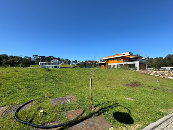 Imagem Terreno à Venda, 978 m² em Vale Das Colinas - Gramado