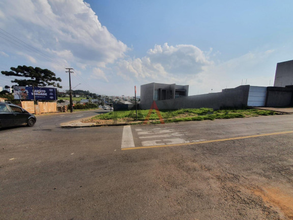 Imagem Terreno à Venda, 403 m² em Batel - Guarapuava Imagem Terreno à Venda, 403 m² em Batel - Guarapuava