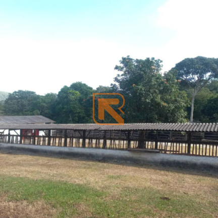 Imagem Fazenda à Venda, 92 m² em Go 319 - Aragoiânia Imagem Fazenda à Venda, 92 m² em Go 319 - Aragoiânia