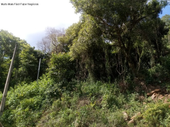 Imagem Terreno à Venda, 3 m² em Linha Pirajá Alta - Nova Petrópolis