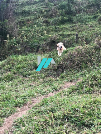 Imagem Fazenda à Venda, 30 m² em Azurita - Mateus Leme Imagem Fazenda à Venda, 30 m² em Azurita - Mateus Leme