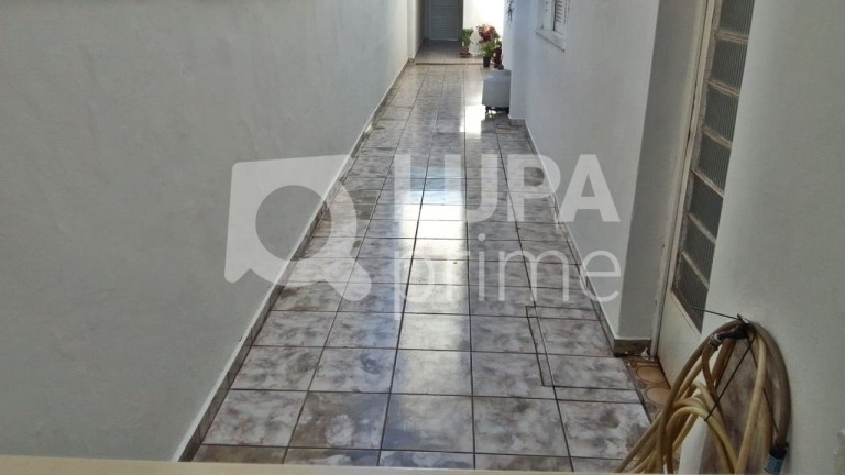 Imagem Casa com 1 Quarto para Alugar, 30 m² em Vila Maria - São Paulo Imagem Casa com 1 Quarto para Alugar, 30 m² em Vila Maria - São Paulo