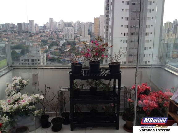 Imagem Apartamento com 2 Quartos à Venda, 110 m² em Vila Da Saúde - São Paulo Imagem Apartamento com 2 Quartos à Venda, 110 m² em Vila Da Saúde - São Paulo