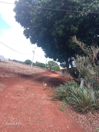 Imagem Chácara com 3 Quartos à Venda, 42.000 m² em Arapongas Imagem Chácara com 3 Quartos à Venda, 42.000 m² em Arapongas