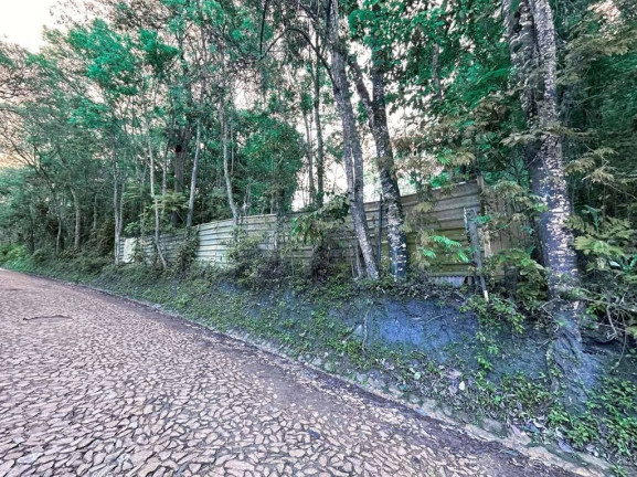 Imagem Terreno à Venda,  em Jardim Colibri - Cotia