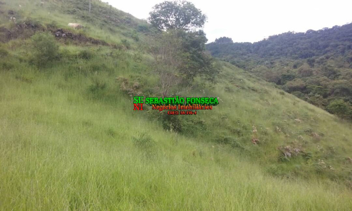 Imagem Chácara à Venda, 484.000 m² em São Francisco Xavier - São José Dos Campos Imagem Chácara à Venda, 484.000 m² em São Francisco Xavier - São José Dos Campos