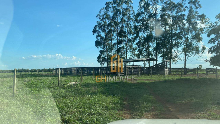Imagem Fazenda à Venda, 4.017.000 m² em Assentamento  - Ribeirão Cascalheira